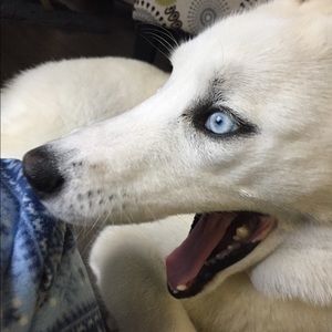 Meet your Posher, Mel